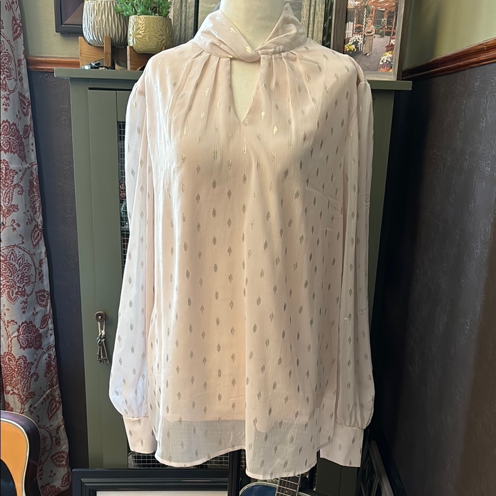 Blousology Ivory/Blusy Relaxed Long Sleeve Blouse with sheer sleeves size XL